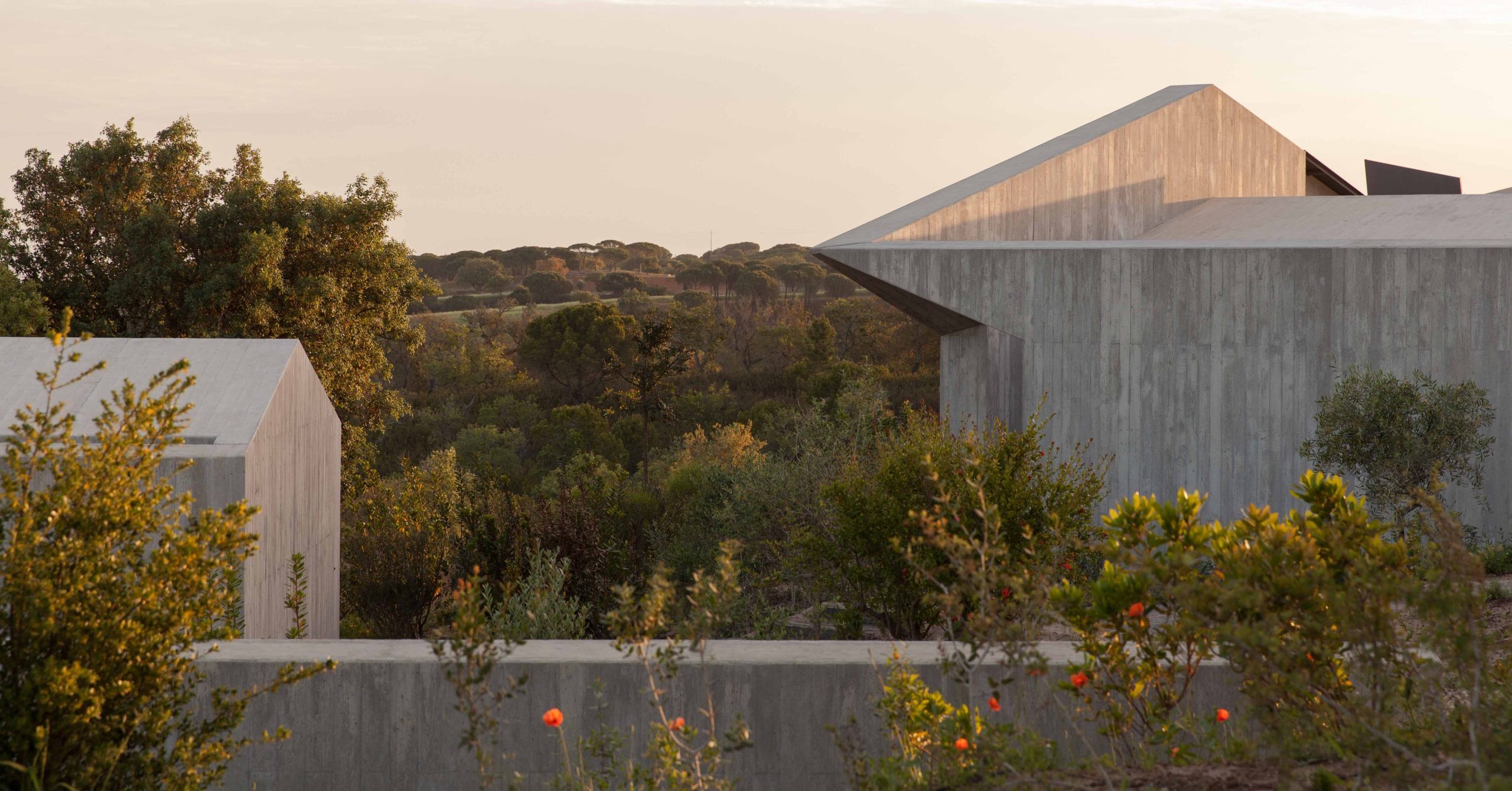 Modern concrete buildings with sharp angles, by Manuel Aires Mateus, are surrounded by green bushes and trees, set against dense woodland under a light sky at sunset.