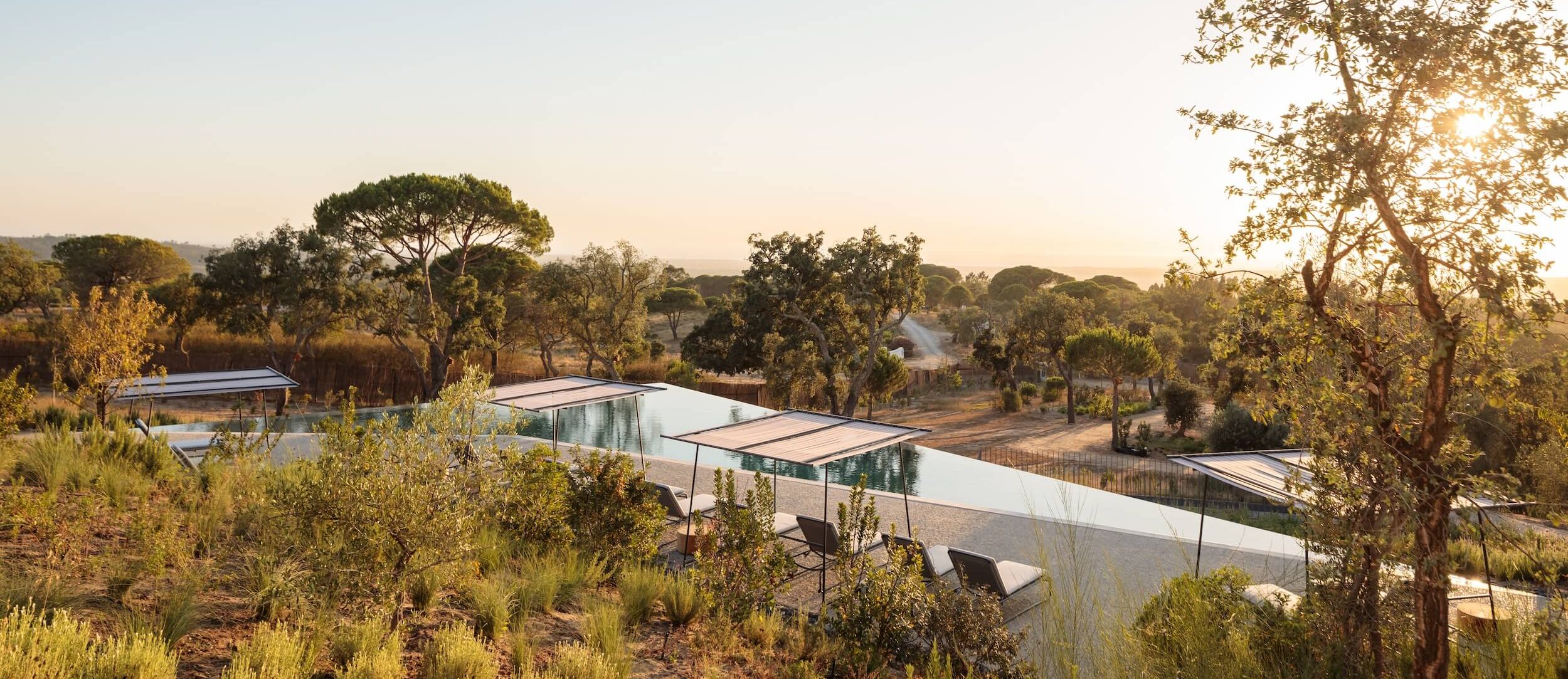 Infinity pool with sun loungers and shade canopies at this hotel in Portugal overlooks a serene, sunlit landscape of trees, bushes, and distant hills under a clear sky at sunset.